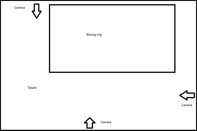 Illustration 2: Sketch of the tatami in the BJJ club [ 12 ]